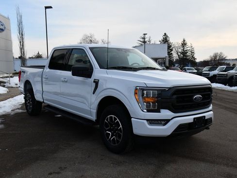 Used 2023 Ford F150 XLT w/ Equipment Group 302A High image 9