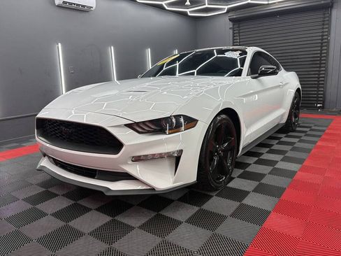 Used 2021 Ford Mustang Coupe w/ Equipment Group 101A RWD image 1