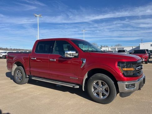 Used 2024 Ford F150 XLT w/ Equipment Group 302A MID image 1
