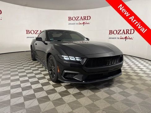 Used 2025 Ford Mustang Coupe w/ Mustang Nite Pony Package RWD image 1