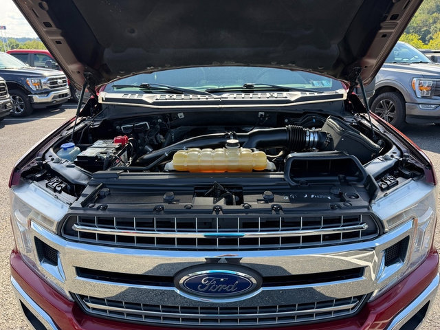 Used 2019 Ford F150 XLT w/ Equipment Group 302A Luxury AWD/4WD image 17