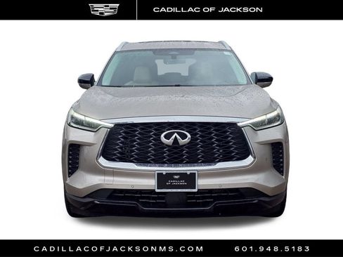 Used 2023 INFINITI QX60 Luxe w/ Cargo Package AWD/4WD image 2