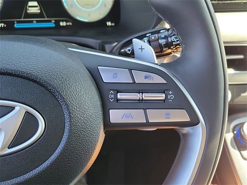 New 2025 Hyundai Palisade Calligraphy image 6