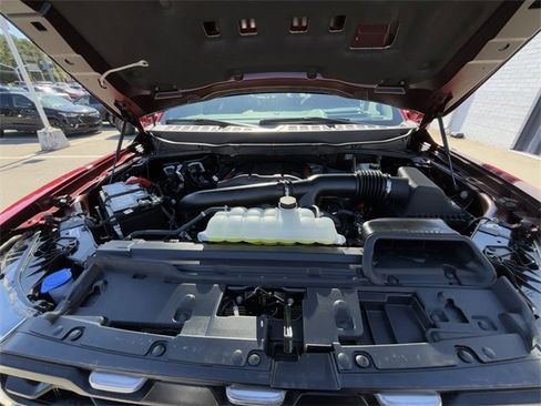 Used 2025 Ford F150 Raptor image 18