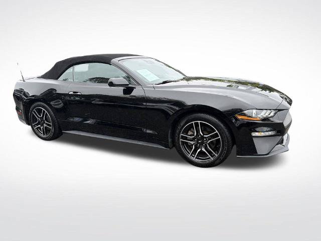 Certified 2023 Ford Mustang Premium RWD image 5