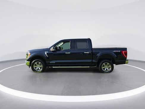 Used 2023 Ford F150 XLT w/ Equipment Group 302A High AWD/4WD image 5