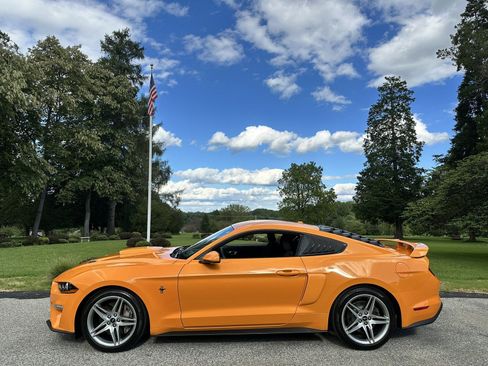 Used 2019 Ford Mustang Coupe w/ Ecoboost Performance Package RWD image 6