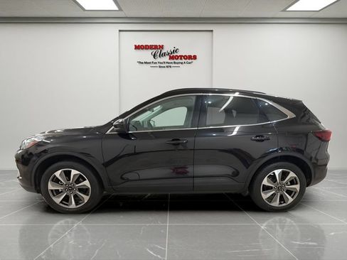 Used 2025 Ford Escape Platinum AWD/4WD image 2