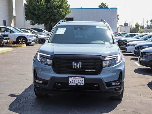 Used 2024 Honda Passport Black Edition image 3
