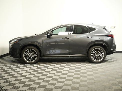Used 2025 Lexus NX 350h AWD w/ Accessory Package (2T) image 5