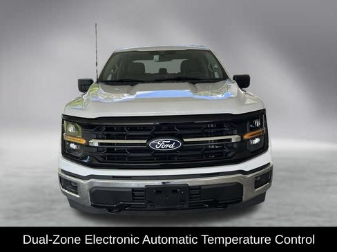 Used 2025 Ford F150 XLT w/ Equipment Group 301A Standard AWD/4WD image 14