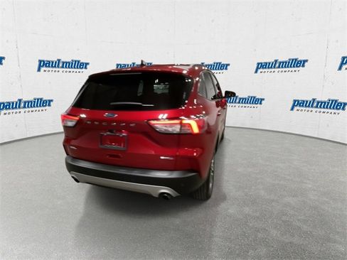 Used 2020 Ford Escape SEL image 10