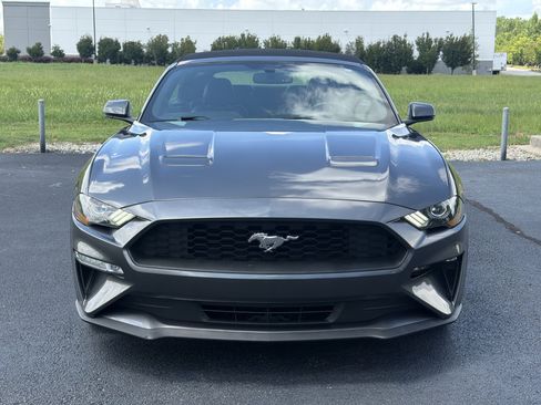 Used 2018 Ford Mustang Premium w/ Equipment Group 201A RWD image 3