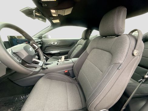 New 2026 Ford Mustang Coupe w/ Mustang Nite Pony Package image 22