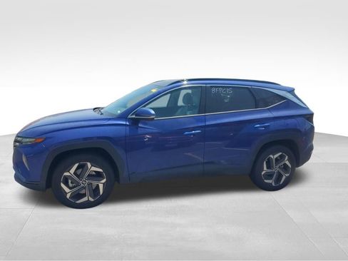 Used 2024 Hyundai Tucson Limited AWD/4WD image 2