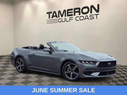 Used 2024 Ford Mustang Premium RWD image 1