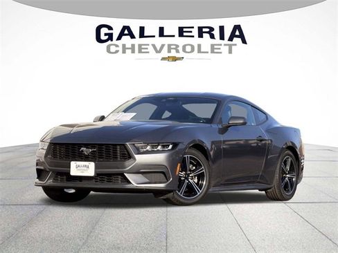 Used 2024 Ford Mustang Premium image 1