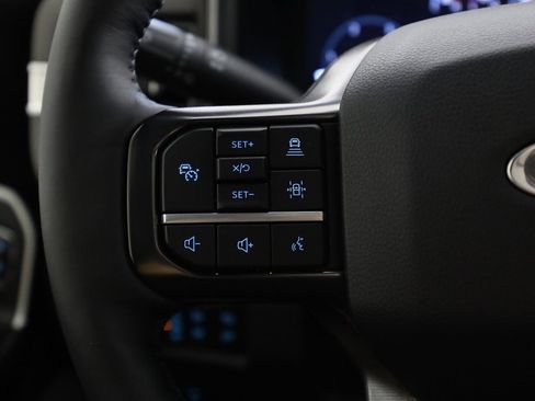 Used 2025 Ford F250 Platinum image 19