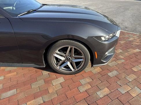 Used 2024 Ford Mustang Premium image 17