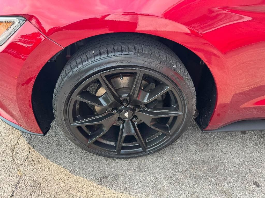 Used 2015 Ford Mustang Premium w/ Equipment Group 201A RWD image 8
