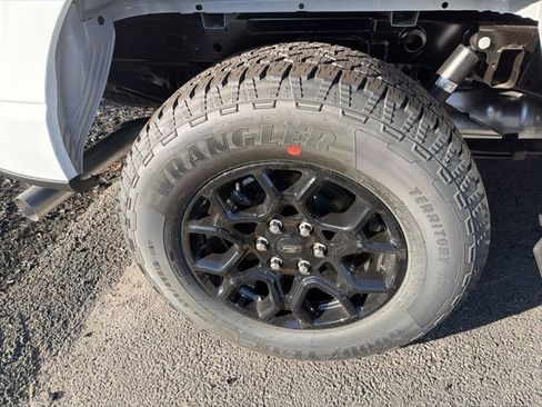 New 2025 Ford F150 XLT w/ Equipment Group 302A MID image 6
