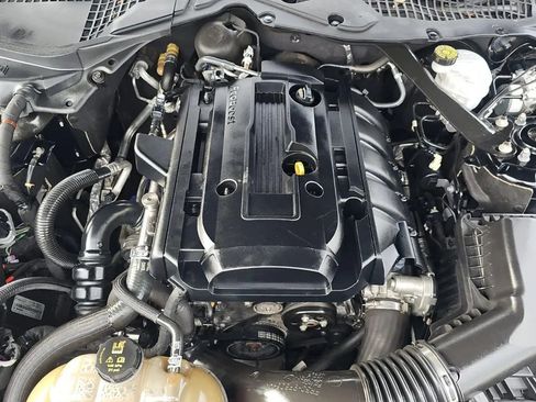 Used 2019 Ford Mustang Premium RWD image 50