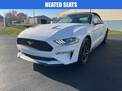 Used 2021 Ford Mustang Premium image 8