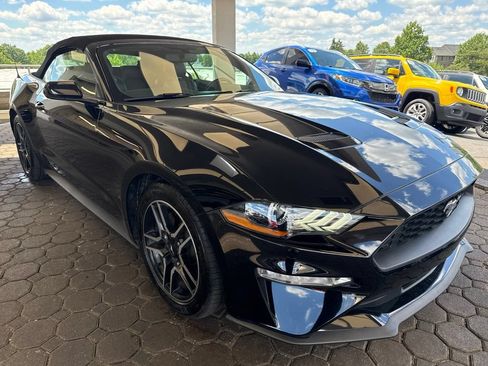 Used 2019 Ford Mustang Premium RWD image 4