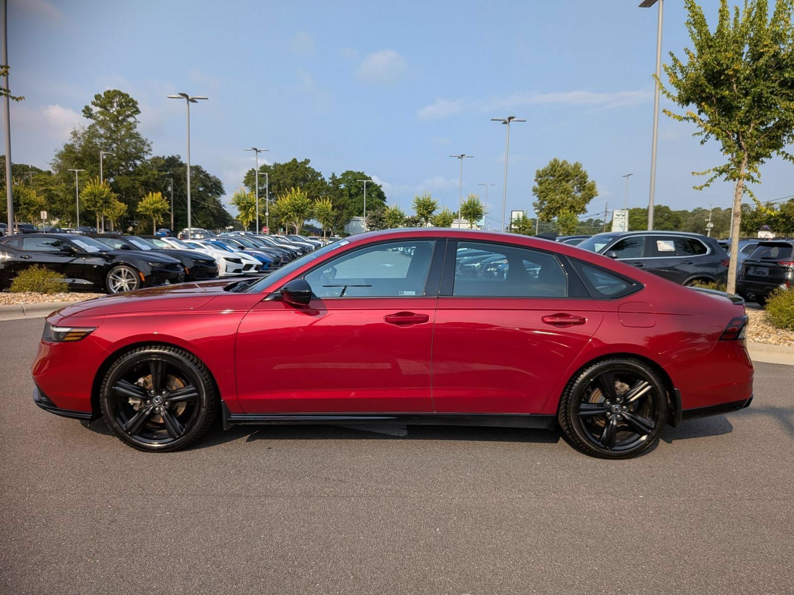 Used 2023 Honda Accord Sport image 6