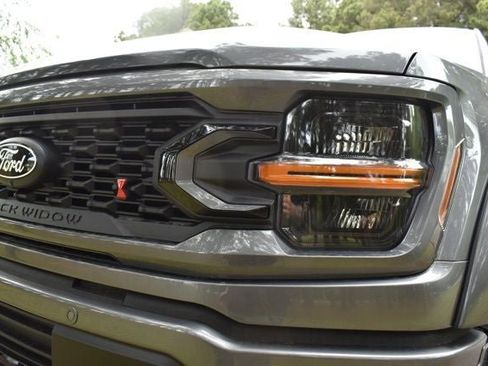 New 2025 Ford F150 XLT w/ Equipment Group 303A High image 10