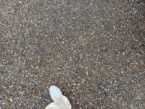 Used 2024 Honda Accord EX-L image 6