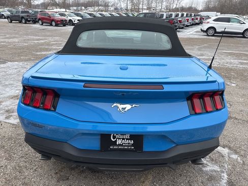 Used 2025 Ford Mustang Premium w/ Wheel & Stripe Package image 3