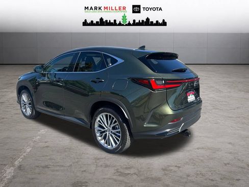 Used 2025 Lexus NX 350h AWD w/ Cold Area Package image 3