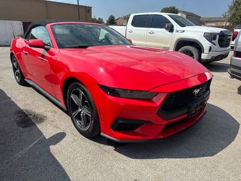 Used 2025 Ford Mustang Premium RWD image 1