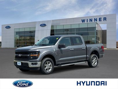 Used 2025 Ford F150 XLT w/ Equipment Group 301A Standard
