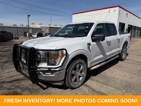 Used 2021 Ford F150 XLT w/ Equipment Group 302A High image 2