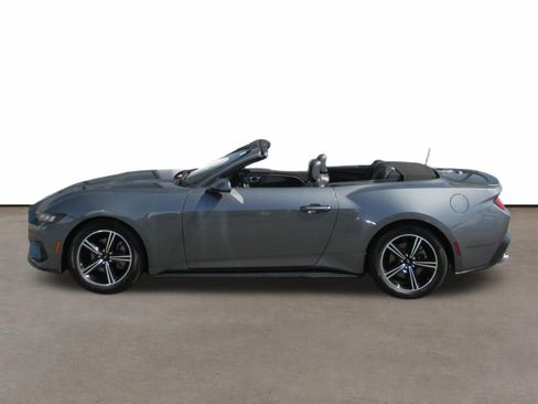 Used 2025 Ford Mustang Premium RWD image 2