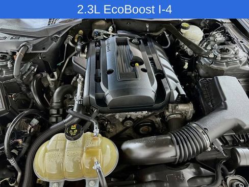Certified 2017 Ford Mustang Premium RWD image 22