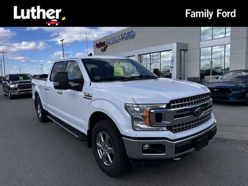 Used 2019 Ford F150 XLT w/ Equipment Group 302A Luxury AWD/4WD image 1