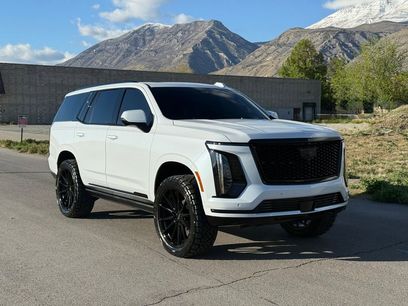 Used 2026 Cadillac Escalade Platinum Sport w/ LPO, ONYX Package