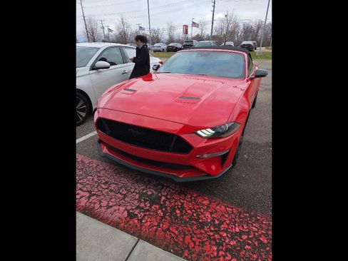 Used 2021 Ford Mustang GT Premium w/ Equipment Group 401A image 1