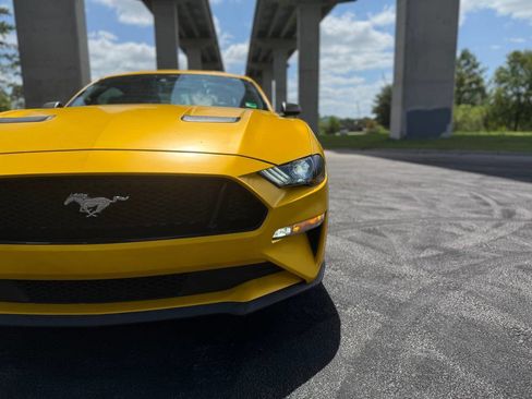 Used 2021 Ford Mustang GT w/ Equipment Group 301A image 11