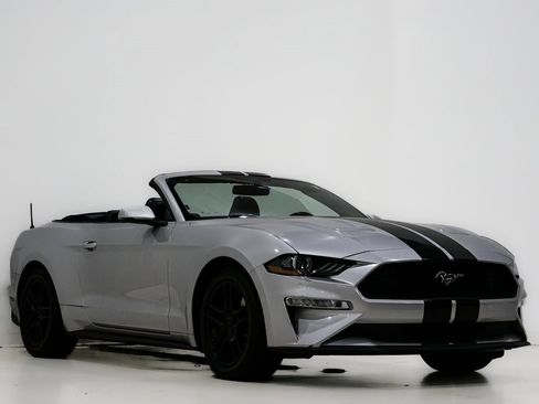 Used 2019 Ford Mustang Premium image 2