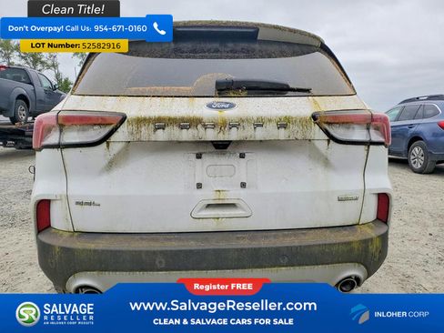 Used 2020 Ford Escape SEL FWD image 8