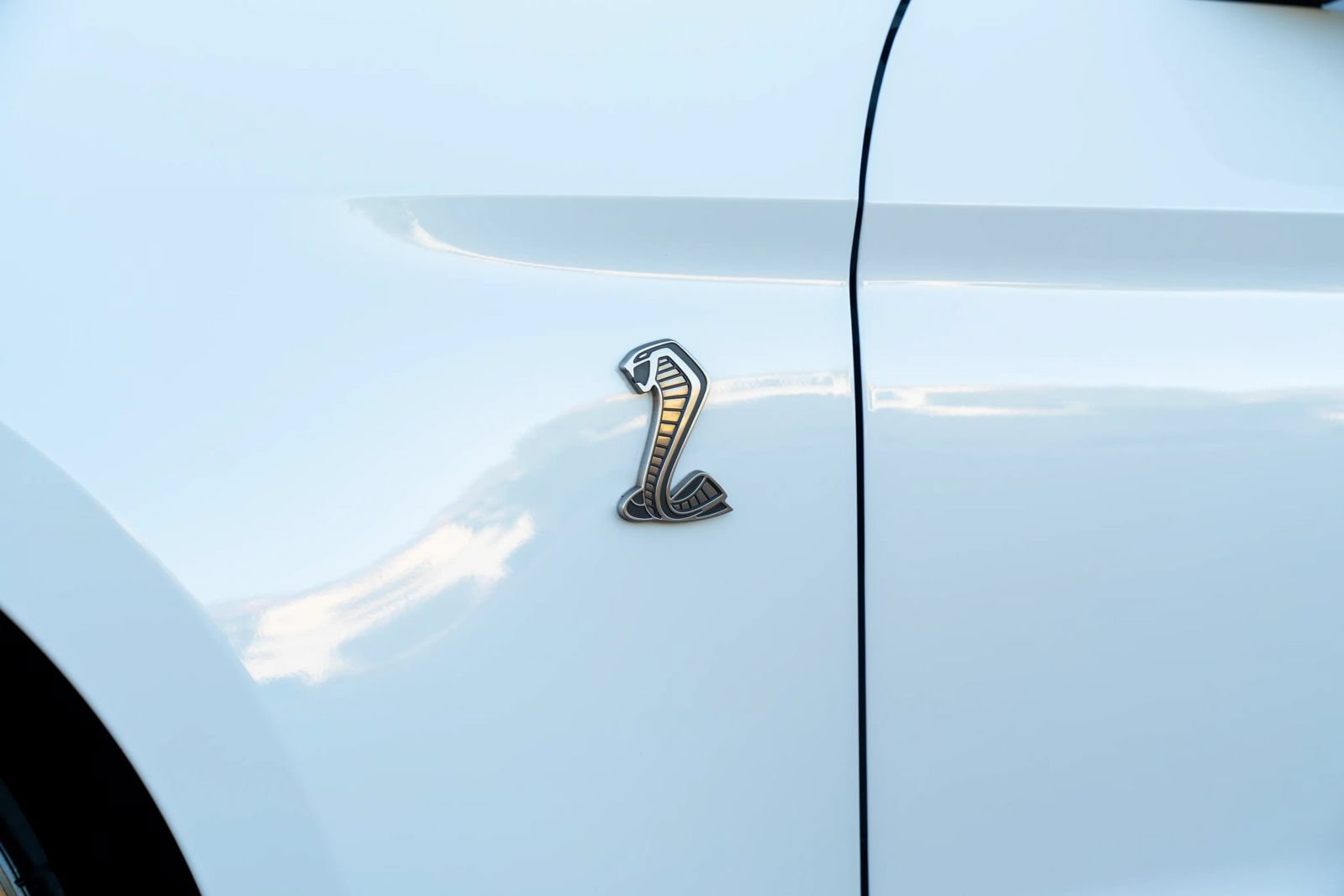 Used 2021 Ford Mustang Shelby GT500 RWD image 10