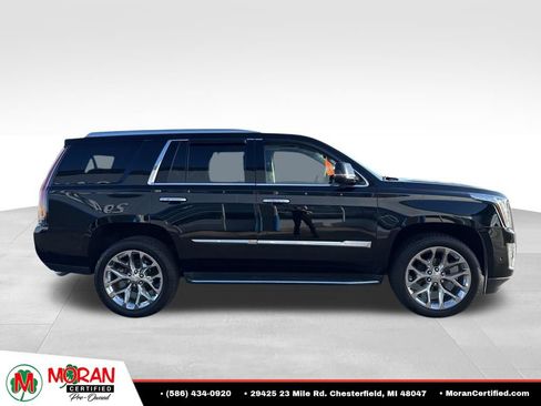 Used 2019 Cadillac Escalade Premium Luxury AWD/4WD image 6