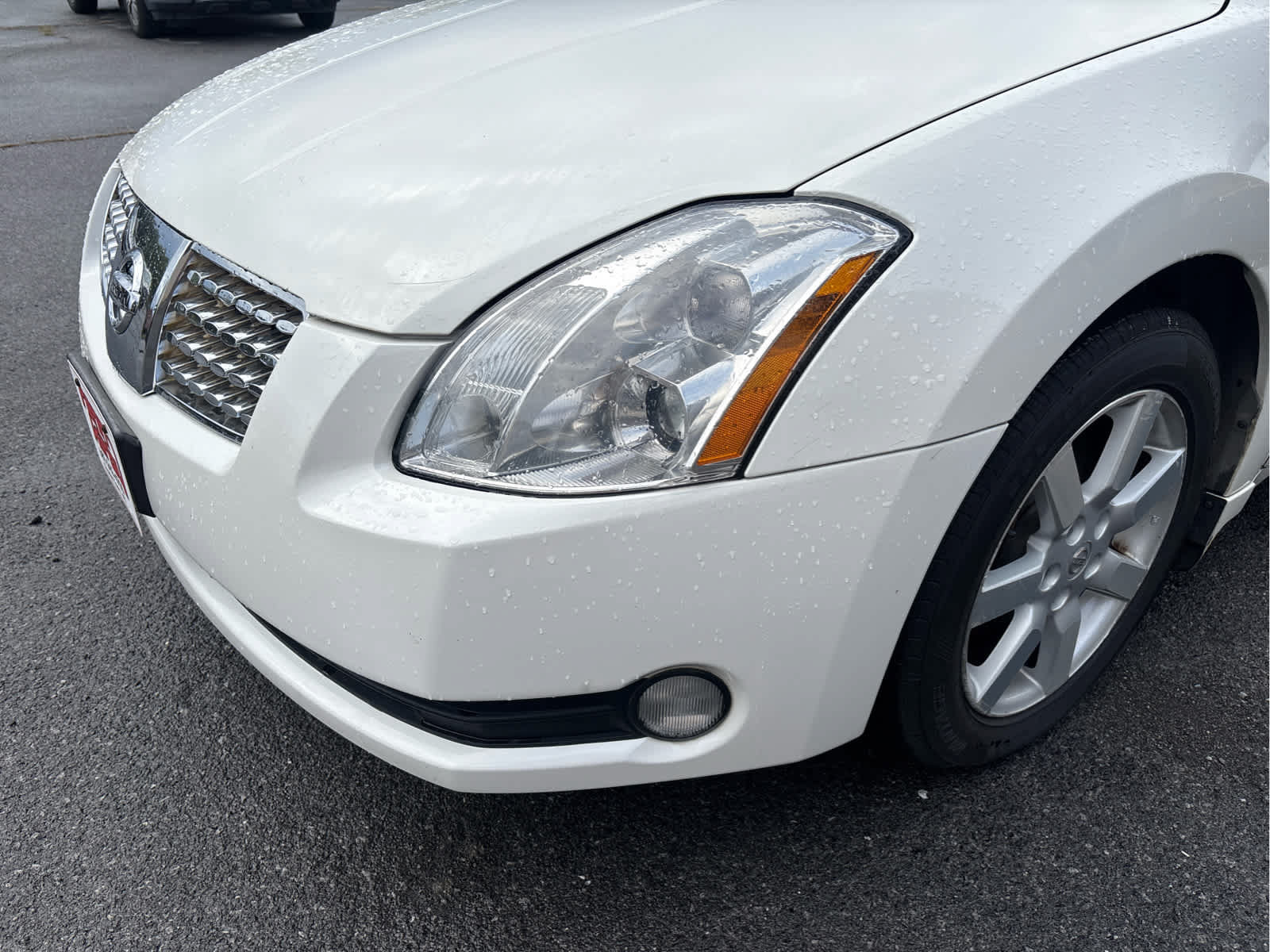 Used 2005 Nissan Maxima 3.5 SL w/ (S03) Driver Preferred Pkg FWD image 5