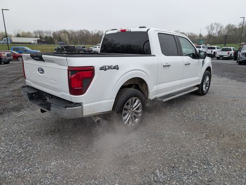 Used 2024 Ford F150 XLT image 5