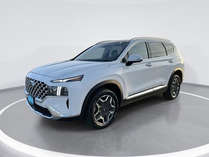 Used 2023 Hyundai Santa Fe Limited