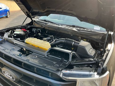 Used 2022 Ford F150 XLT w/ Equipment Group 301A Mid image 19